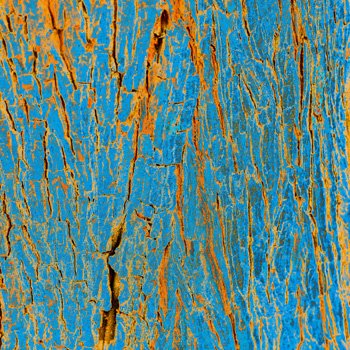 tree bark pattern coloured for dot.international